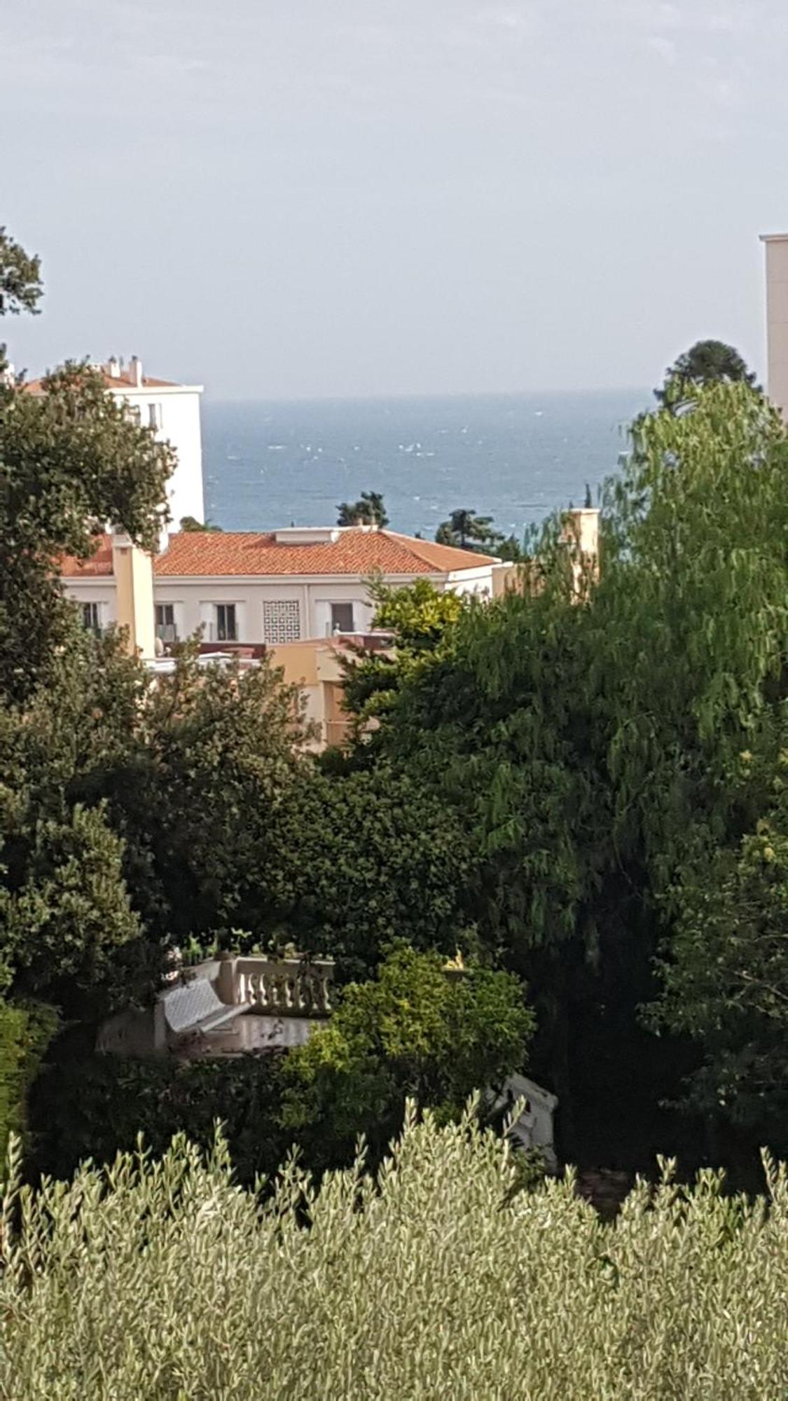 Les Palmiers A 700M De La Mer ニース 部屋 写真