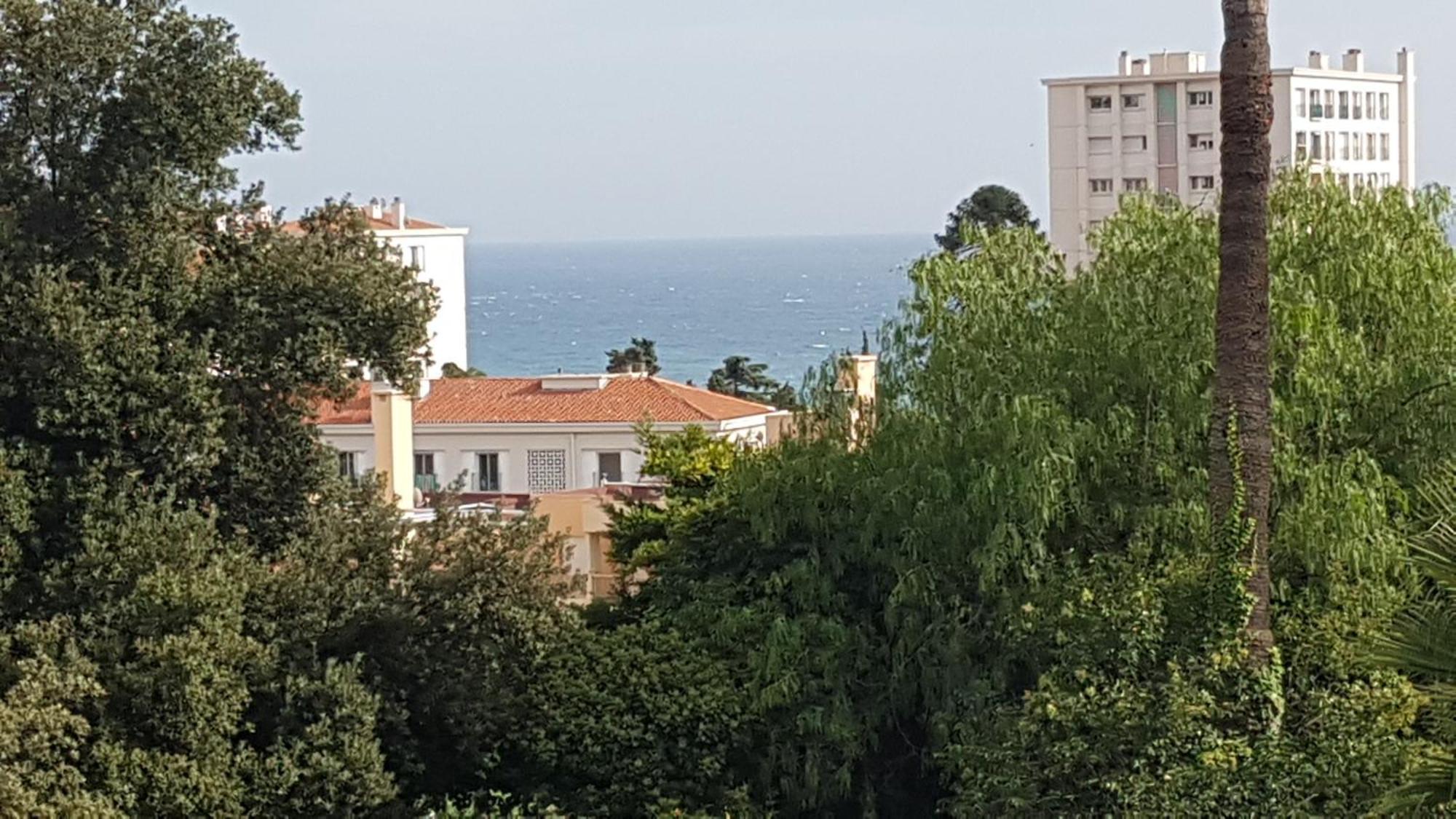 Les Palmiers A 700M De La Mer ニース 部屋 写真