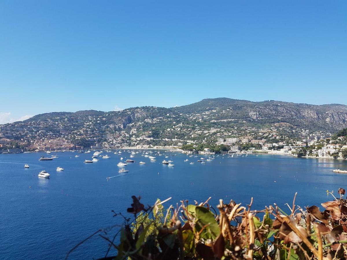 Les Palmiers A 700M De La Mer ニース エクステリア 写真