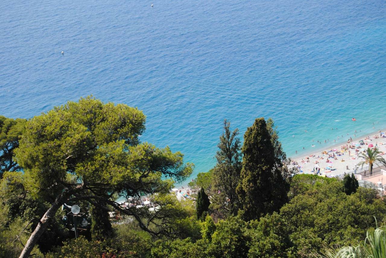 Les Palmiers A 700M De La Mer ニース エクステリア 写真