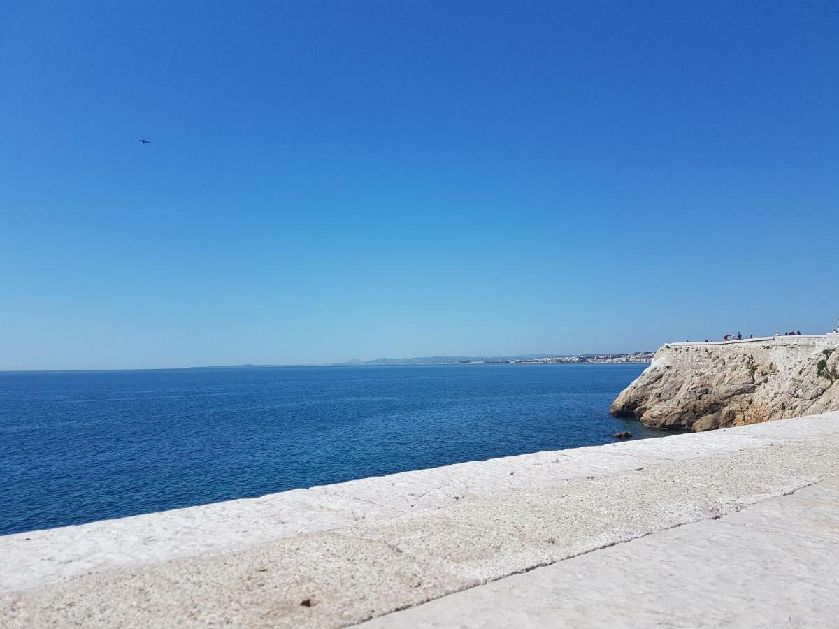 Les Palmiers A 700M De La Mer ニース エクステリア 写真