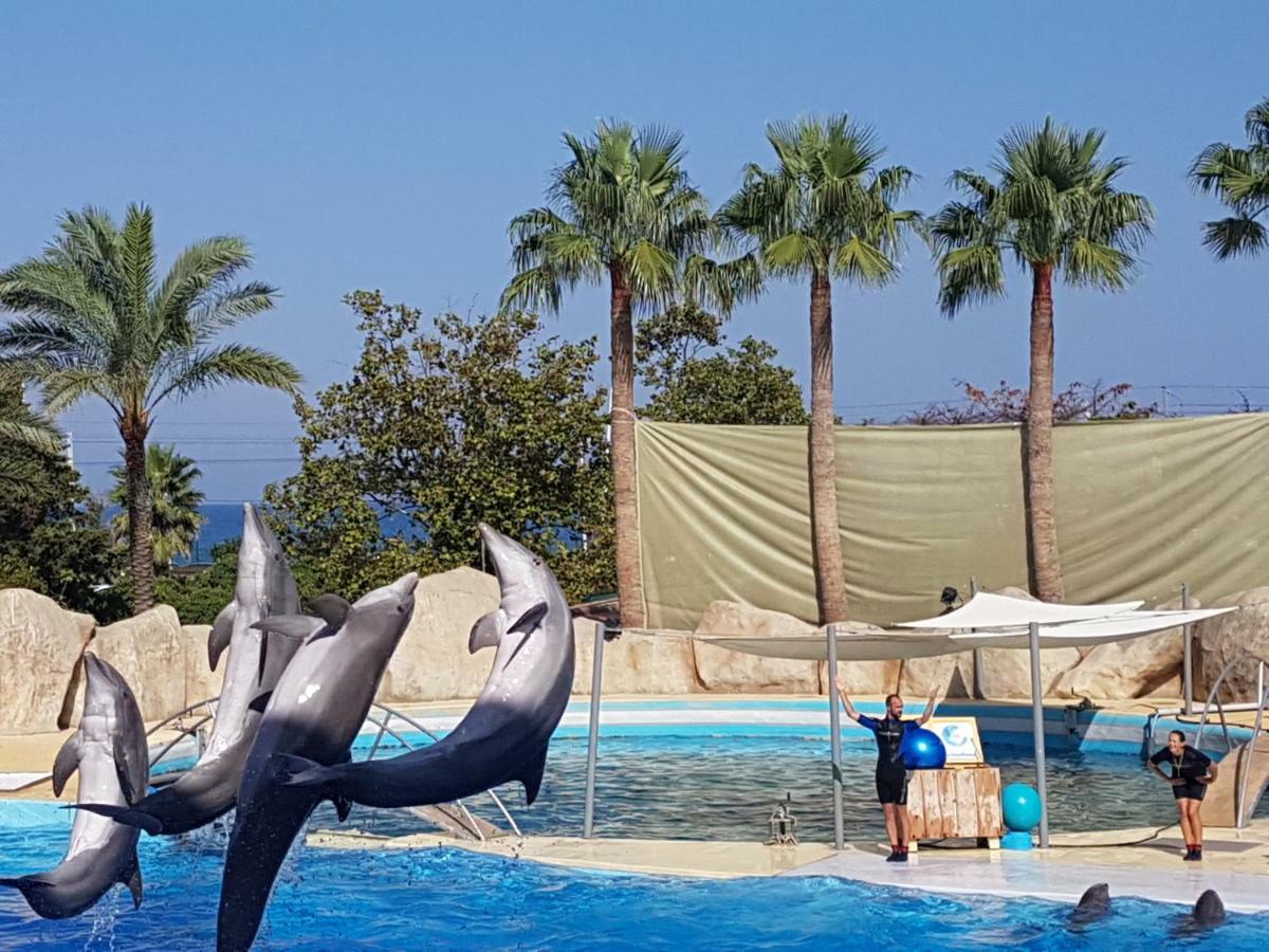 Les Palmiers A 700M De La Mer ニース エクステリア 写真